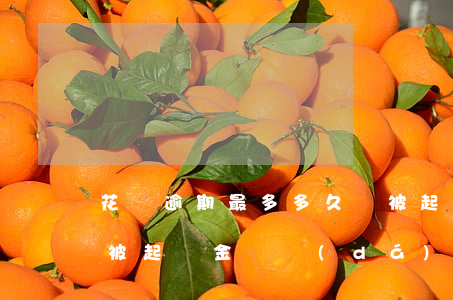 花唄逾期最多多久會被起訴(花唄逾期多久會被起訴,金額達(dá)到多少?)