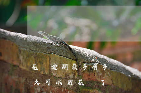 花唄逾期最多有多長時間(花唄逾期還完了,多久可以用花唄了)