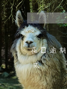 花唄逾期最快還款方式(花唄逾期最快還款方式)