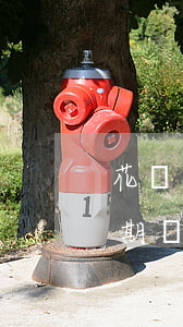 花唄逾期最高的是誰(shuí)-花唄逾期還款到什么程度會(huì)影響個(gè)人征信