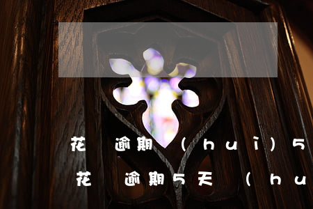 花唄逾期會(huì)5天有影響嗎(支付寶花唄逾期5天會(huì)不會(huì)有什么影響)