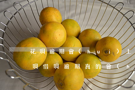 花唄逾期會(huì)上門走訪嗎(支付寶花唄借唄逾期真的會(huì)上門調(diào)查嗎)