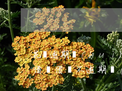 花唄逾期會(huì)不會(huì)影響借唄(借唄不逾期會(huì)不會(huì)影響)