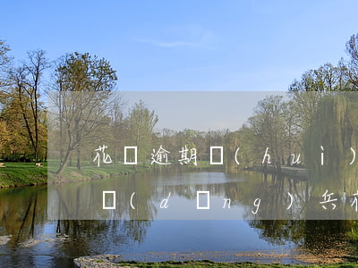 花唄逾期會(huì)不會(huì)影響當(dāng)兵(花唄分期影響當(dāng)兵嗎)