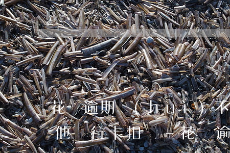 花唄逾期會(huì)不會(huì)從其他銀行卡扣錢-花唄逾期會(huì)不會(huì)從其他銀行卡扣錢呢