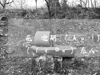 花唄逾期會(huì)不會(huì)打聯(lián)系人(螞蟻花唄客服會(huì)打電話通知你花唄逾期了嗎)