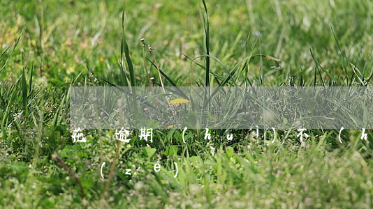 花唄逾期會(huì)不會(huì)有刑責(zé)