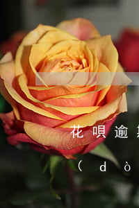 花唄逾期會(huì)不會(huì)自動(dòng)關(guān)了(花唄突然關(guān)閉怎么回事)