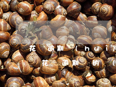 花唄逾期會(huì)不會(huì)黑名單(花唄逾期別的網(wǎng)貸也無法使用是被拉黑了嗎)