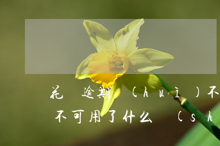 花唄逾期會(huì)不能用了嗎(花唄逾期不可用了什么時(shí)候可以再次使用)