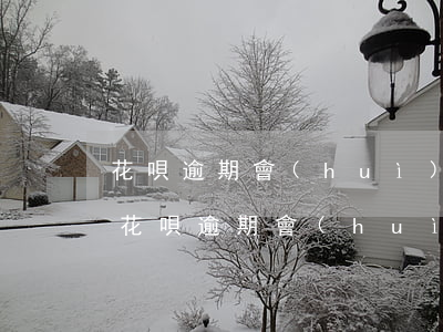 花唄逾期會(huì)凍結(jié)么嗎(花唄逾期會(huì)封支付寶嗎)