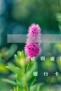 花唄逾期會(huì)凍結(jié)其他銀行卡的錢嗎-花唄逾期會(huì)凍結(jié)其他銀行卡的錢嗎安全嗎