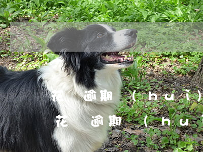 花唄逾期會(huì)凍結(jié)額度 花唄逾期會(huì)凍結(jié)名下財(cái)產(chǎn)和銀行卡嗎