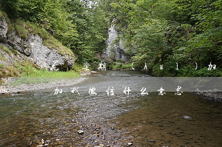 花唄逾期會(huì)加你微信嘛(花唄逾期加我微信什么意思)