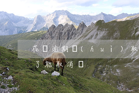花唄逾期會(huì)取消分期嗎(花唄分期了能取消嗎)