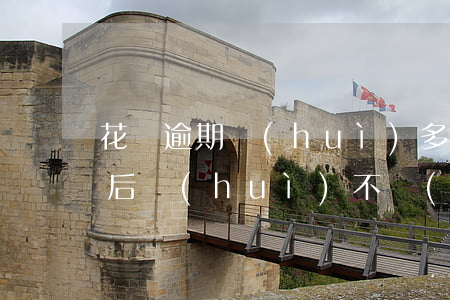 花唄逾期會(huì)多次扣款嗎(花唄逾期后會(huì)不會(huì)每天從綁定卡里自動(dòng)扣款)