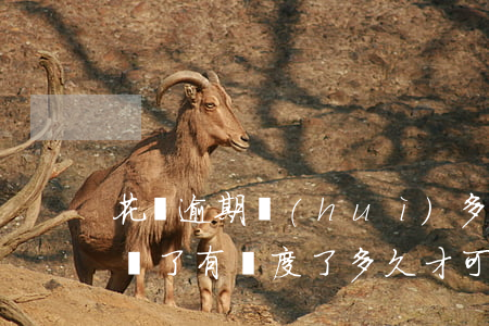 花唄逾期會(huì)多要多少錢(逾期花唄還了,有額度了,多久才可以用)