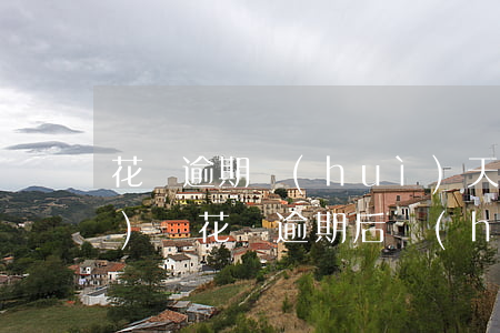 花唄逾期會(huì)天天扣錢(qián)嗎(花唄逾期后會(huì)不會(huì)每天從綁定卡里自動(dòng)扣款)