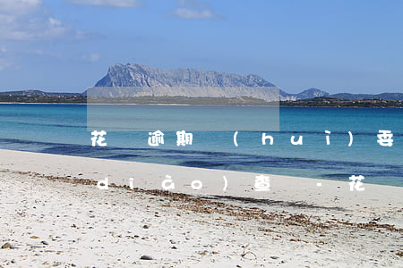 花唄逾期會(huì)委托第三方上門調(diào)查嗎-花唄逾期會(huì)委托第三方上門調(diào)查嗎是真的嗎
