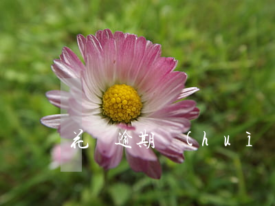 花唄逾期會(huì)寄掛號(hào)信嗎