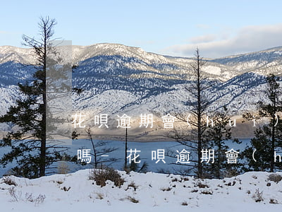 花唄逾期會(huì)影響京東白條的額度嗎-花唄逾期會(huì)影響京東白條的額度嗎