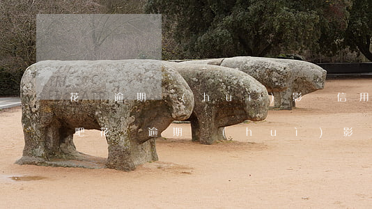 花唄逾期會(huì)影響信用卡降額嗎貼吧(花唄逾期會(huì)影響信用卡額度嗎)