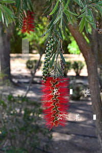 花唄逾期會(huì)影響信譽(yù)度么(花唄還了最低會(huì)不會(huì)影響信譽(yù)度)