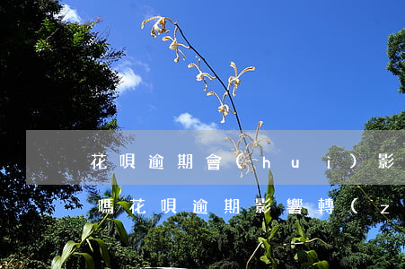 花唄逾期會(huì)影響其他支付寶功能嗎（花唄逾期影響轉(zhuǎn)戶口么）