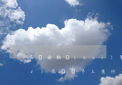 花唄逾期會(huì)影響子女入學(xué)(花唄還不上有什么后果影響家屬嗎)