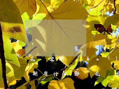 花唄逾期會(huì)影響征信多久(花唄逾期有什么影響?花唄逾期多久上征信)
