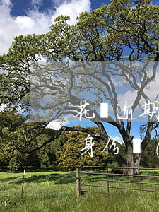 花唄逾期會(huì)影響身份證么(支付寶身份過(guò)期了會(huì)影響花唄嗎)