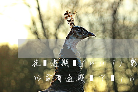花唄逾期會(huì)影響還信用卡嗎(花唄以前有逾期還了會(huì)影響個(gè)人信用卡)