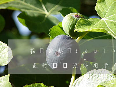 花唄逾期會(huì)從綁定信用卡扣款嗎(支付寶綁定信用卡花唄會(huì)扣款嗎)