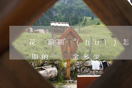 花唄逾期會(huì)怎么算違約金(借唄逾期的違約金多少)