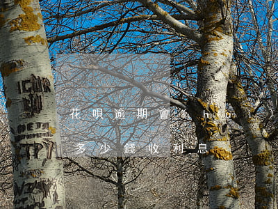 花唄逾期會(huì)扣多少利息(花唄超出多少錢收利息)