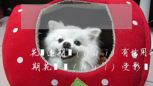 花唄逾期會(huì)有信用行為(信用卡逾期,花唄會(huì)受影響嗎?)