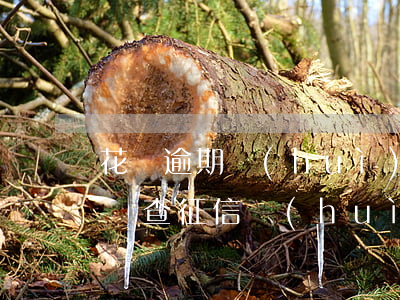 花唄逾期會(huì)查詢(xún)征信嗎(查征信會(huì)查到花唄嗎)
