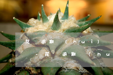 花唄逾期會(huì)給通訊錄好友打電話嗎-花唄逾期會(huì)給通訊錄好友打電話嗎?