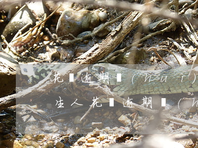 花唄逾期會(huì)聯(lián)系陌生人(花唄逾期會(huì)跟我通訊錄里面人打電話嗎?)