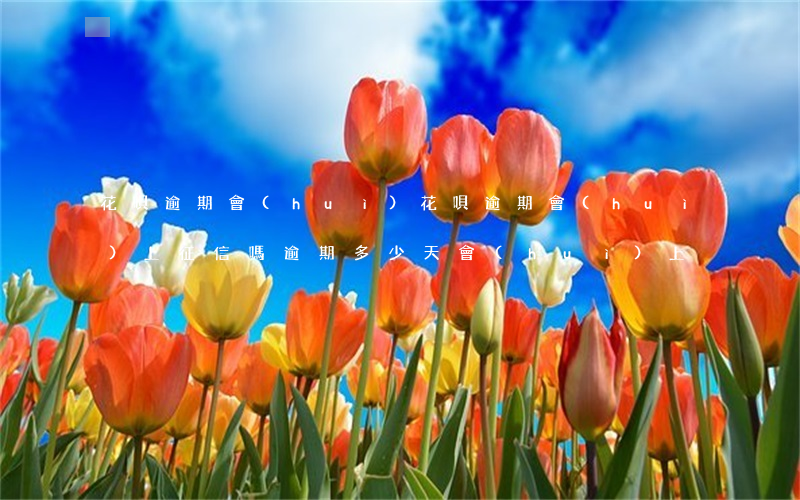 花唄逾期會(huì)，花唄逾期會(huì)上征信嗎，逾期多少天會(huì)上
