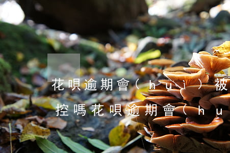 花唄逾期會(huì)被人監(jiān)控嗎(花唄逾期會(huì)被人監(jiān)控嗎)