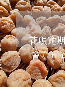 花唄逾期會(huì)被叫人抓嗎(花唄逾期會(huì)被叫人抓嗎)