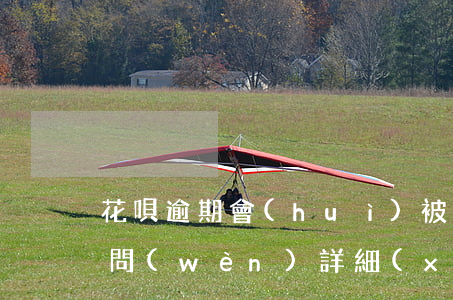 花唄逾期會(huì)被客服會(huì)問(wèn)詳細(xì)情況嗎-螞蟻花唄逾期客服會(huì)打電話通知家里人嗎