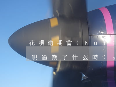 花唄逾期會(huì)被民警抓嗎(信用卡花唄逾期了什么時(shí)候抓我坐牢)