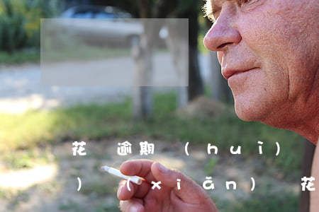 花唄逾期會(huì)變成高風(fēng)險(xiǎn)嗎(花唄逾過期影響信用卡審核)