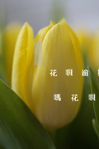 花唄逾期會(huì)越來(lái)越多嗎(花唄逾期會(huì)越來(lái)越多嗎)