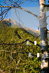 花唄逾期會(huì)造成銀行信用(支付寶花唄逾期跟銀行信用有沒(méi)有關(guān)系)