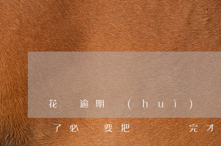花唄逾期會(huì)還總賬單嗎(花唄逾期了必須要把賬單還完才能開通嗎)