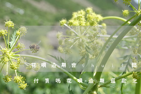 花唄逾期會(huì)關(guān)閉支付寶嗎(花唄逾期還款之后關(guān)閉了花唄還能使用嗎?)