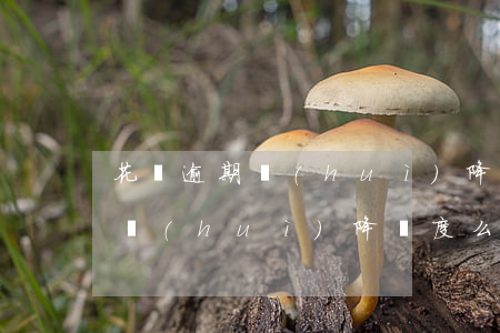 花唄逾期會(huì)降額度么嗎(花唄逾期會(huì)降額度么嗎)
